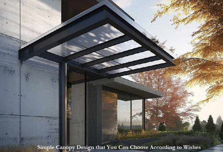 Simple Canopy Design that You Can Choose According to Wishes