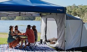 Portable Canopies