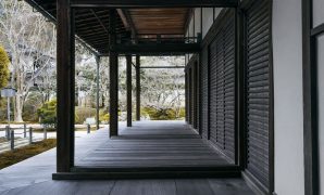 Pergola Canopy Ideas to Improve Home Aesthetics