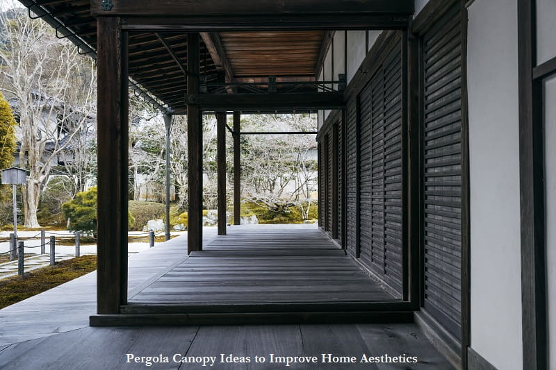 Pergola Canopy Ideas to Improve Home Aesthetics